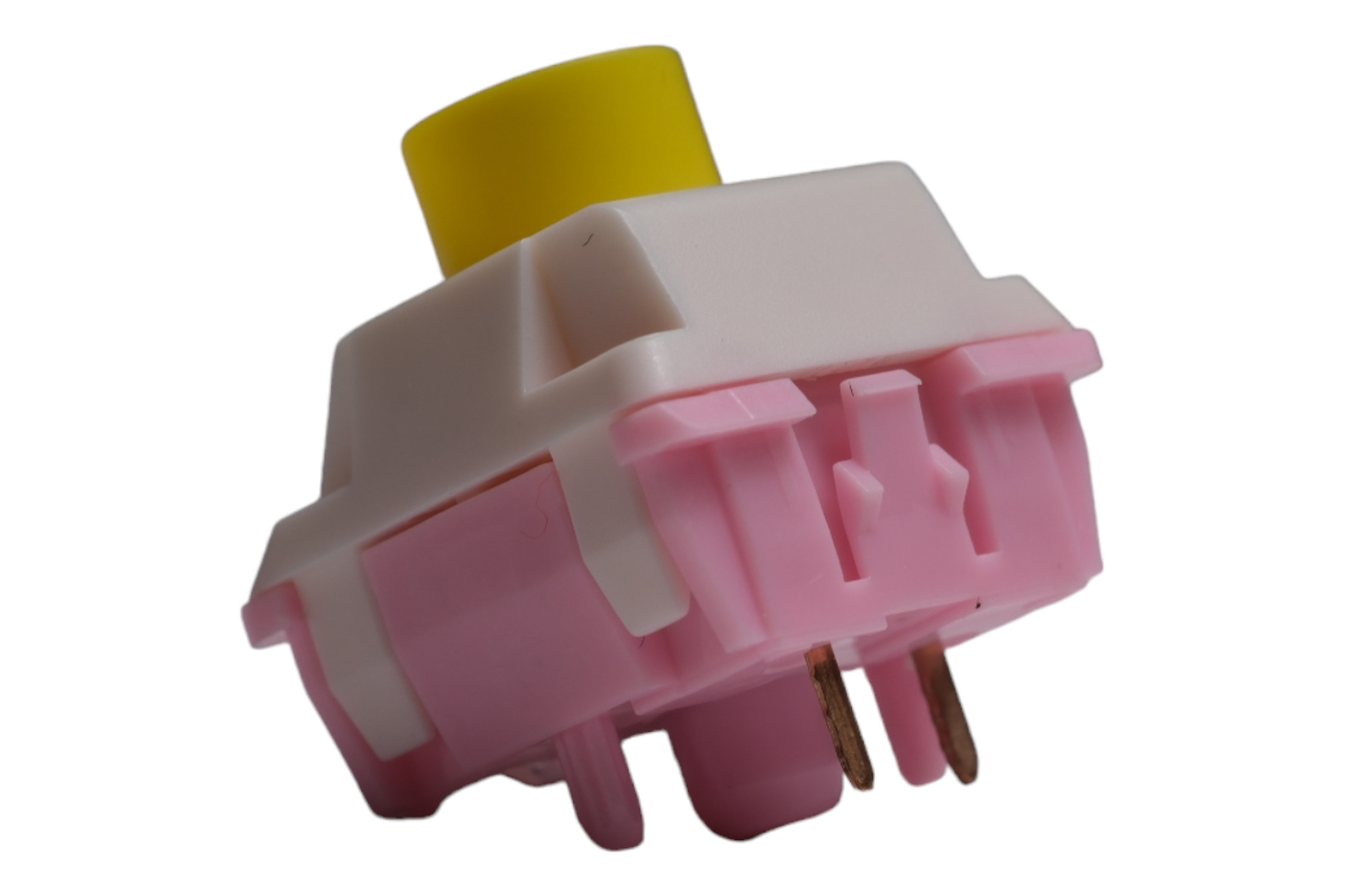 Lotus_V2_2_utwk0d.jpg
